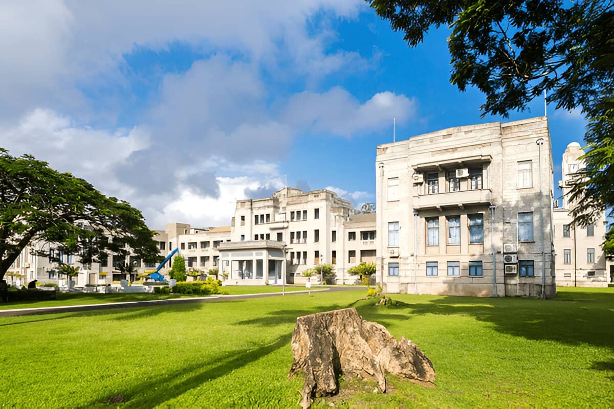 5 Surprising Benefits of Grinding That Old Tree Stump