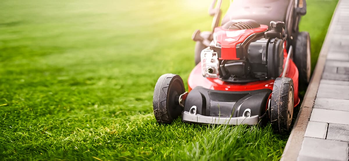 Top 7 Outdoor Tools That Make Yard Work Way Easier