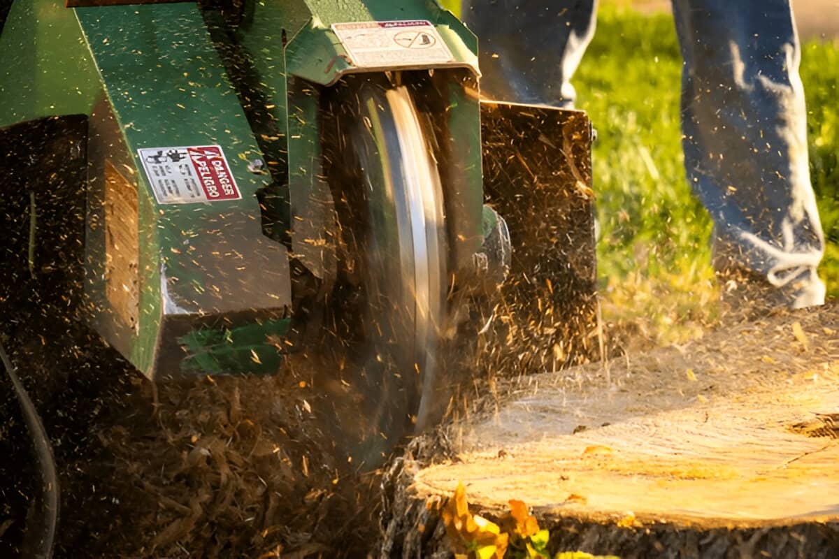 What Is a Stump Grinder and How Does It Work? Expert Guide for Buyers