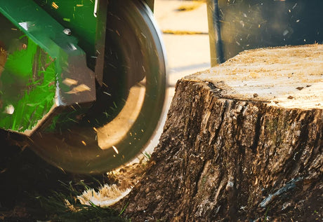 What Size Stump Grinder Do I Need? A Guide to Choosing the Right Fit