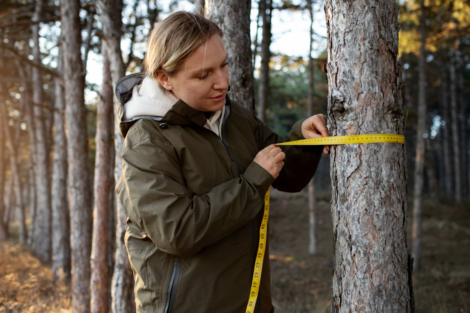 Wood Chipper Sizes Explained: What Size Do You Really Need?