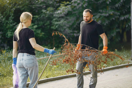 Can You Put Wet Wood in a Wood Chipper? Here’s What Happens