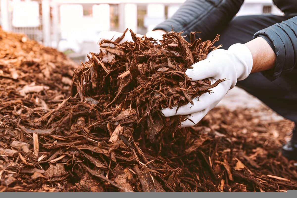 5 Genius Ways to Use Wood Chips Around the House That Will Surprise You