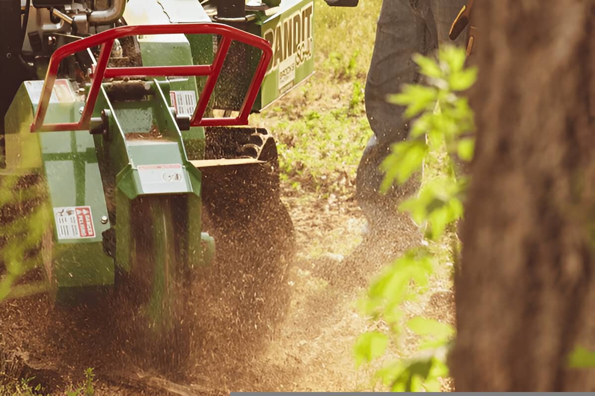 Stump Grinder 101: Complete 2025 Buyer’s Guide