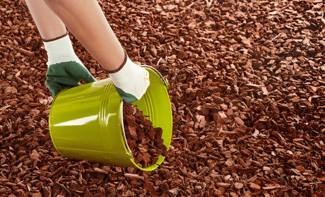How Wood Chips Help Control Weeds Without Chemicals: A Practical Guide